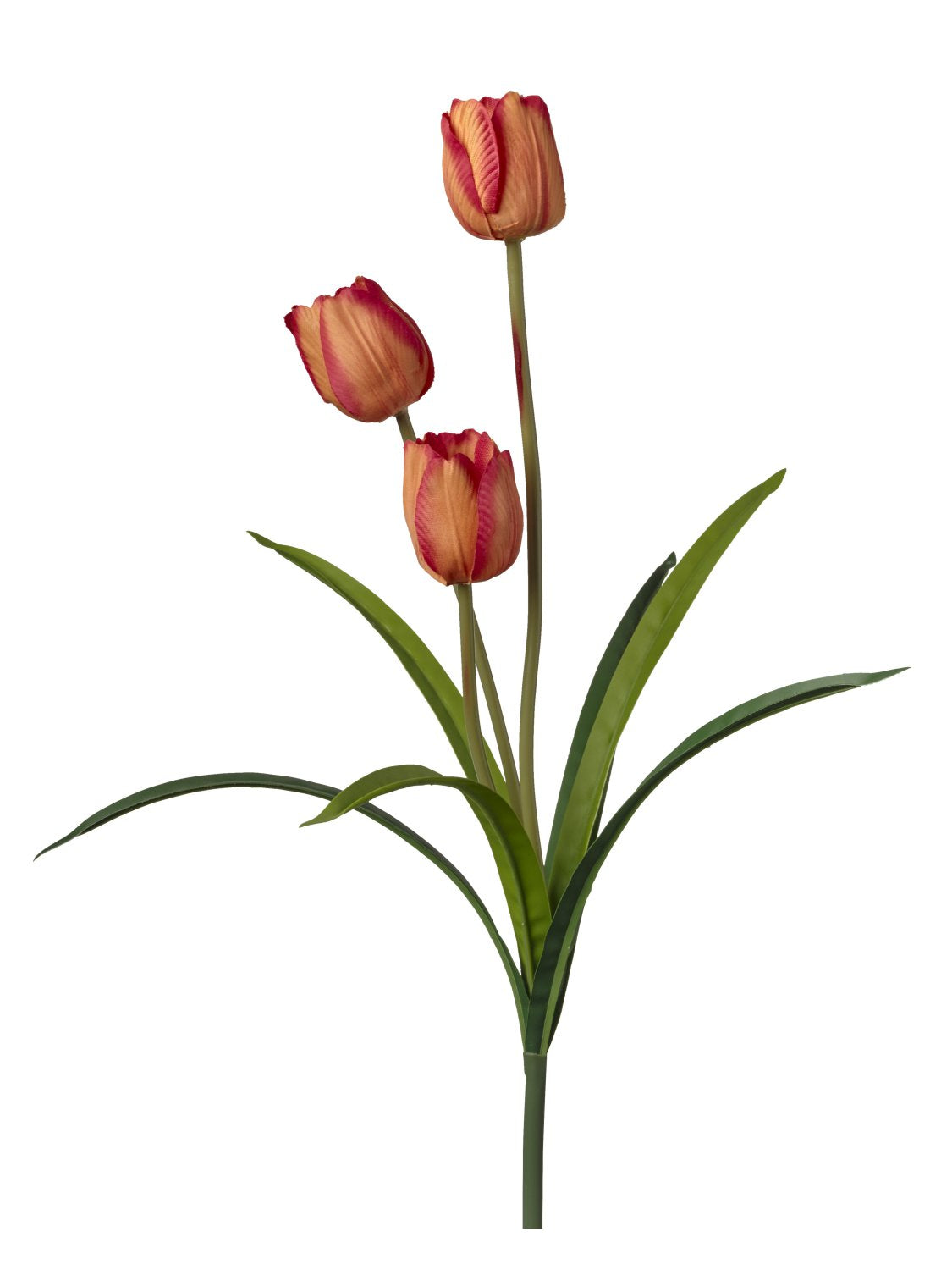 immagine-1-conti-ramo-tulipano-h-50-cm-x-3-fiori-orange-ean-8032971296368