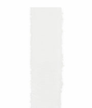 Ruban de gaze Cupido&Co. H 25 mm L 25 mt Blanc