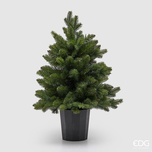 immagine-1-edg-enzo-de-gasperi-albero-di-natale-pino-argentato-verde-con-vaso-h-60-cm-d-48-cm-green-ean-8059824452887