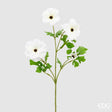 immagine-1-edg-enzo-de-gasperi-cosmos-rex-4-rami-h-65-cm-bianco