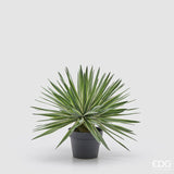 edg enzo de gasperi edg enzo de gasperi agave con vaso pianta artificiale h 45 cm verde ean 8059824518279