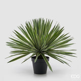 edg enzo de gasperi edg enzo de gasperi agave con vaso pianta artificiale h 65 cm verde ean 8059824518255