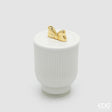 edg enzo de gasperi edg enzo de gasperi candela di natale fiocco con vaso h 15 cm d 10 cm frangipani bianco oro ean 8059824544100