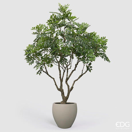 edg enzo de gasperi edg enzo de gasperi dalbergia vogue con vaso pianta artificiale h 240 cm verde ean 8059824607409