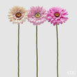 edg enzo de gasperi edg enzo de gasperi gerbera ramo ass h 60 cm d 12 cm pianta artificiale rosa crem 1 pz ean 8059824457028
