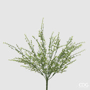 EDG Enzo De Gasperi Genêt Buisson Plante Artificielle H 55 Cm Blanc