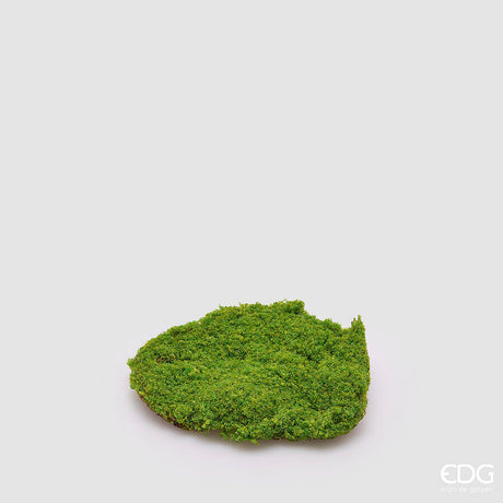 edg enzo de gasperi edg enzo de gasperi muschio zolla artificiale h 5 cm d 20 cm verde ean 8059824617248