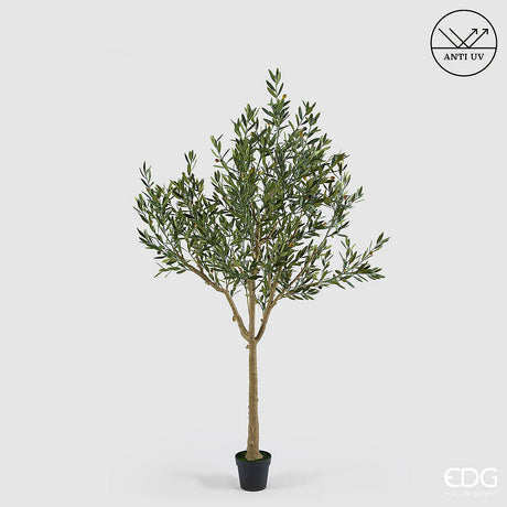 edg enzo de gasperi edg enzo de gasperi olivo con vaso h 208 cm pianta artificiale anti uv verde ean 8059824607591