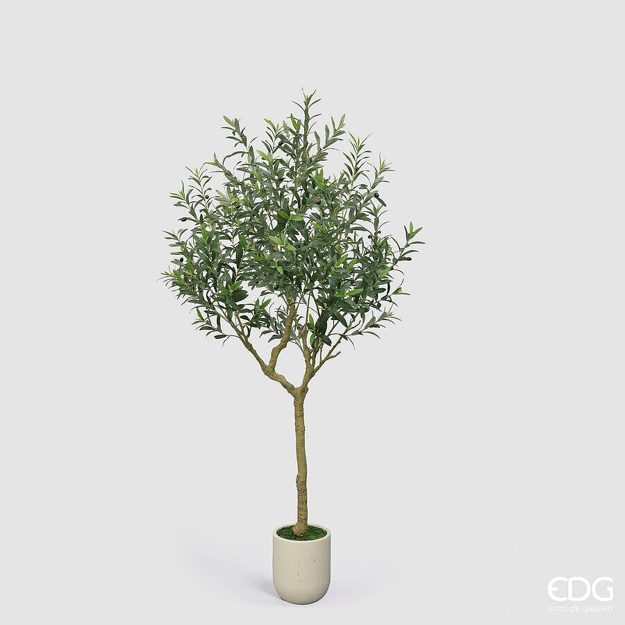 edg enzo de gasperi edg enzo de gasperi olivo con vaso h 210 cm pianta artificiale verde ean 8059824607508