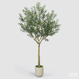 edg enzo de gasperi edg enzo de gasperi olivo con vaso h 240 cm pianta artificiale verde ean 8059824607485