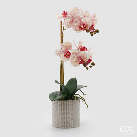 edg enzo de gasperi edg enzo de gasperi orchidea phalaenopsis x2 con foglie e vaso h 51 cm pianta artificiale bianco rosa ean 8059824513731