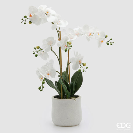 edg enzo de gasperi edg enzo de gasperi orchidea phalaenopsis x5 con foglie e vaso h 62 cm pianta artificiale bianco ean 8059824513779