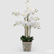 EDG Enzo De Gasperi Orchidée Phalaenopsis x8 avec Bouton et Pot Plante Artificielle H 90 Cm Blanc