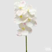 EDG Enzo De Gasperi Orchidée Vanda Branche H 65 Cm Plante Artificielle Ivoire