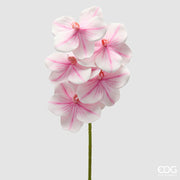 EDG Enzo De Gasperi Orchidée Vanda Branche H 65 Cm Plante Artificielle Blanc Rose