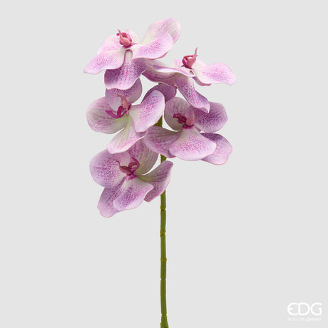 edg enzo de gasperi edg enzo de gasperi orchidea vanda ramo h 65 cm pianta artificiale mauve ean 8059824615466