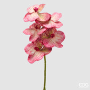 EDG Enzo De Gasperi Orchidée Vanda Branche H 65 Cm Plante Artificielle Rose