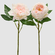 EDG Enzo De Gasperi Pivoine Branche avec Feuilles Ass. H 58 Cm Plante Artificielle Rose 1 Pcs