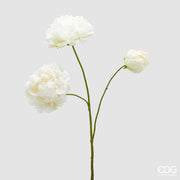 EDG Enzo De Gasperi Pivoine Branche x3 avec H 67 cm Plante Artificielle Couleur Ivoire