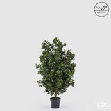 edg enzo de gasperi edg enzo de gasperi pianta artificiale agrifoglio h 125 cm con vaso anti uv verde per interno ed esterno