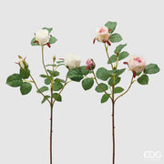 EDG Enzo De Gasperi Rose Olga Olis Branche Artificielle H 62 Cm Blanc Rose 1 Pc