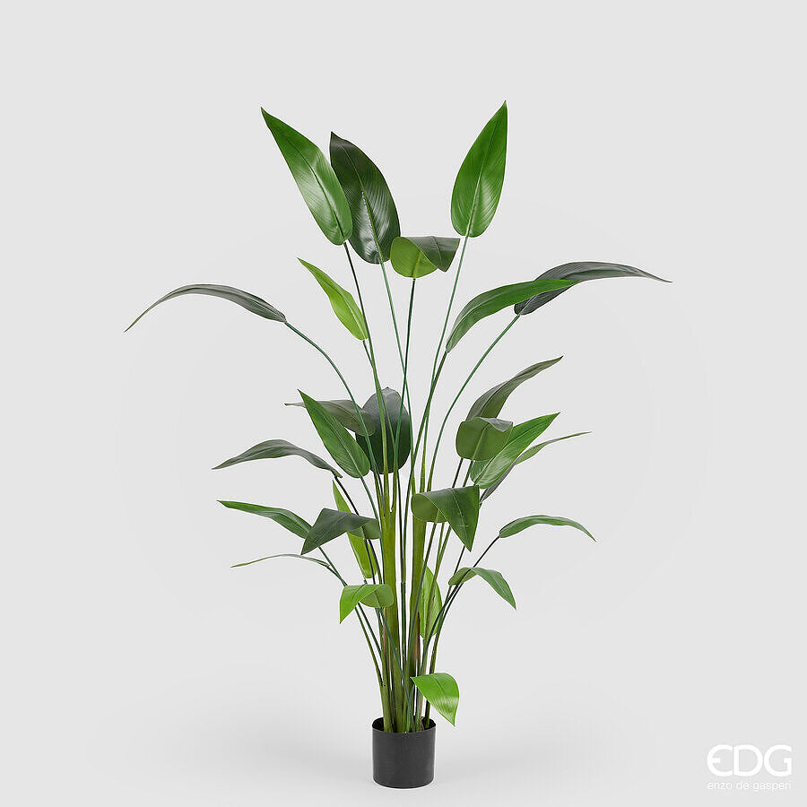 edg enzo de gasperi edg enzo de gasperi strelizia con vaso x26 pianta artificiale h 184 cm verde ean 8059824497963