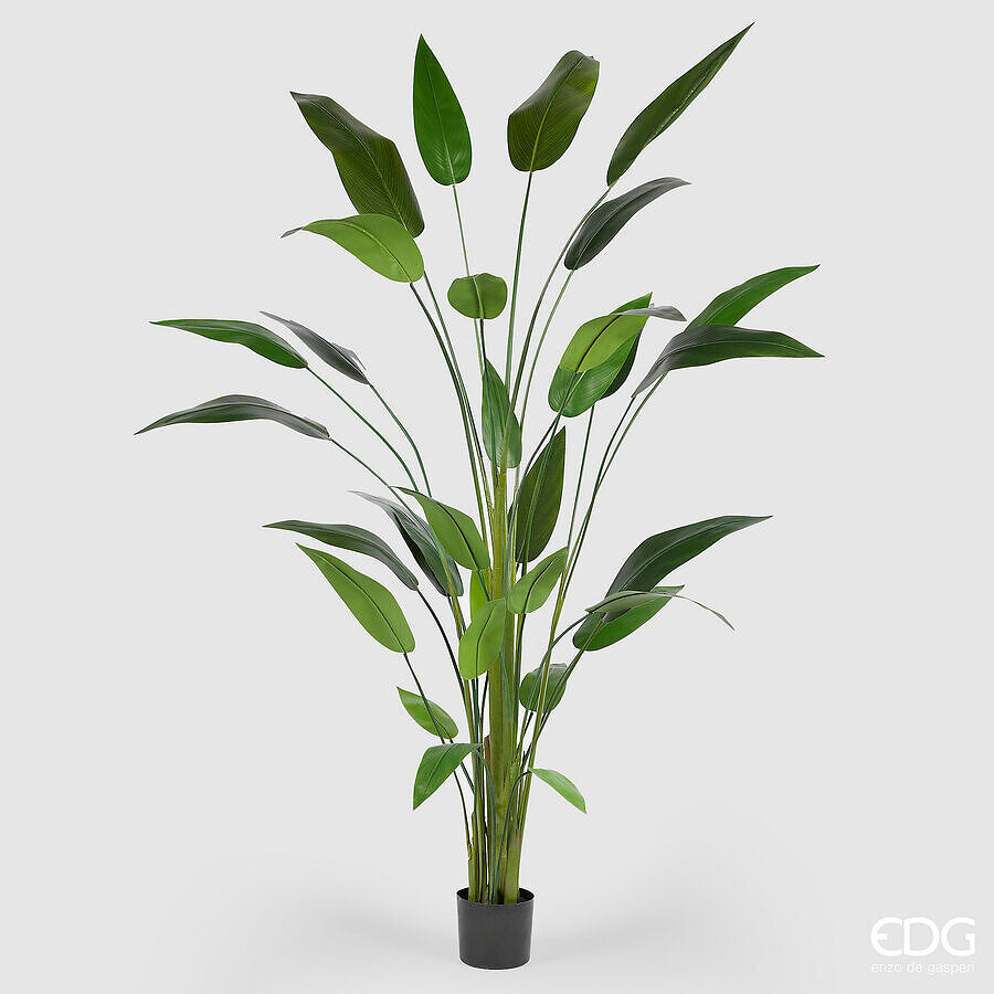 edg enzo de gasperi edg enzo de gasperi strelizia con vaso x32 pianta artificiale h 215 cm verde ean 8059824498021