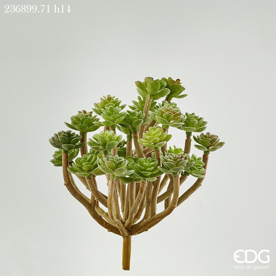 edg enzo de gasperi edg enzo de gasperi succulenta pick h 14 cm light green pianta artificiale decorativa realistica design moderno ean 8054184901624