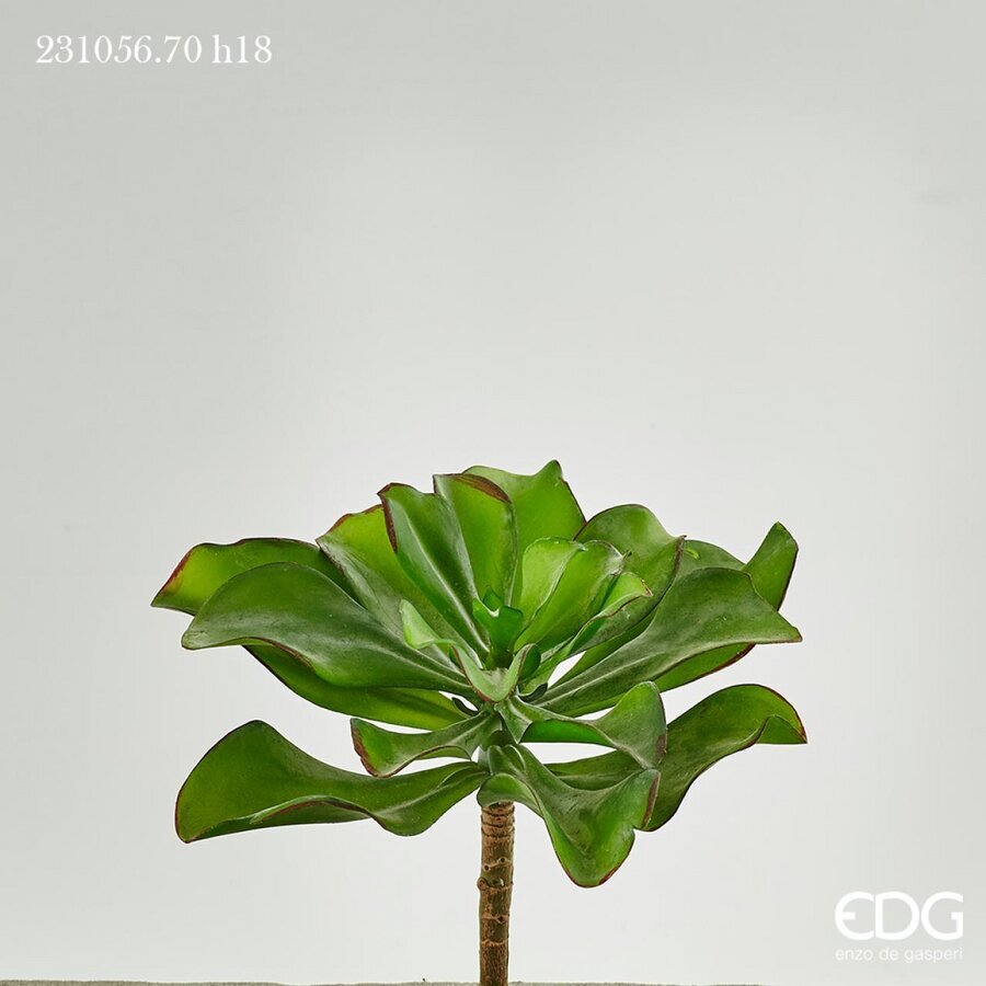 edg enzo de gasperi edg enzo de gasperi succulenta pick jade h 18 cm green pianta artificiale decorativa realistica design moderno ean 8054184901501