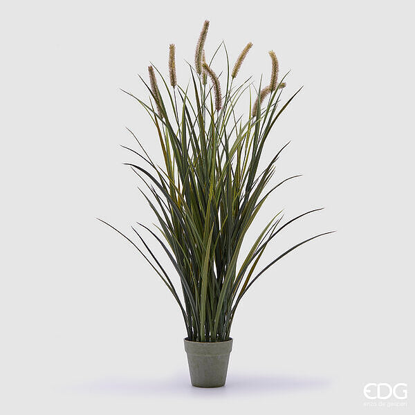 immagine-1-edg-enzo-de-gasperi-festuca-con-vaso-h-99-cm-7-spighe-colore-verde-ean-8059824367938