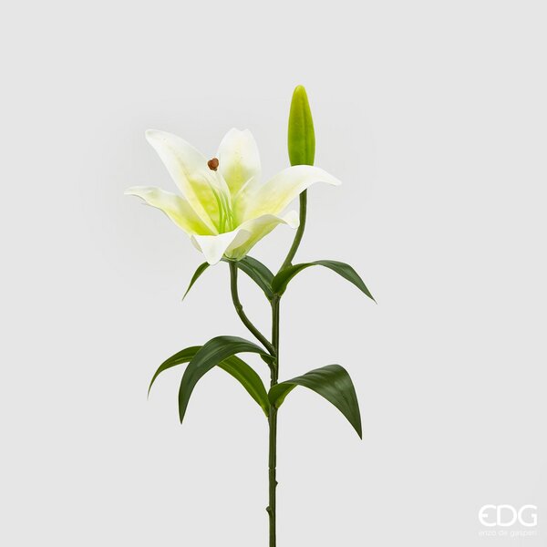 immagine-1-edg-enzo-de-gasperi-lilium-chic-ramo-h-36-cm-bianco-giallo-ean-8056372913211