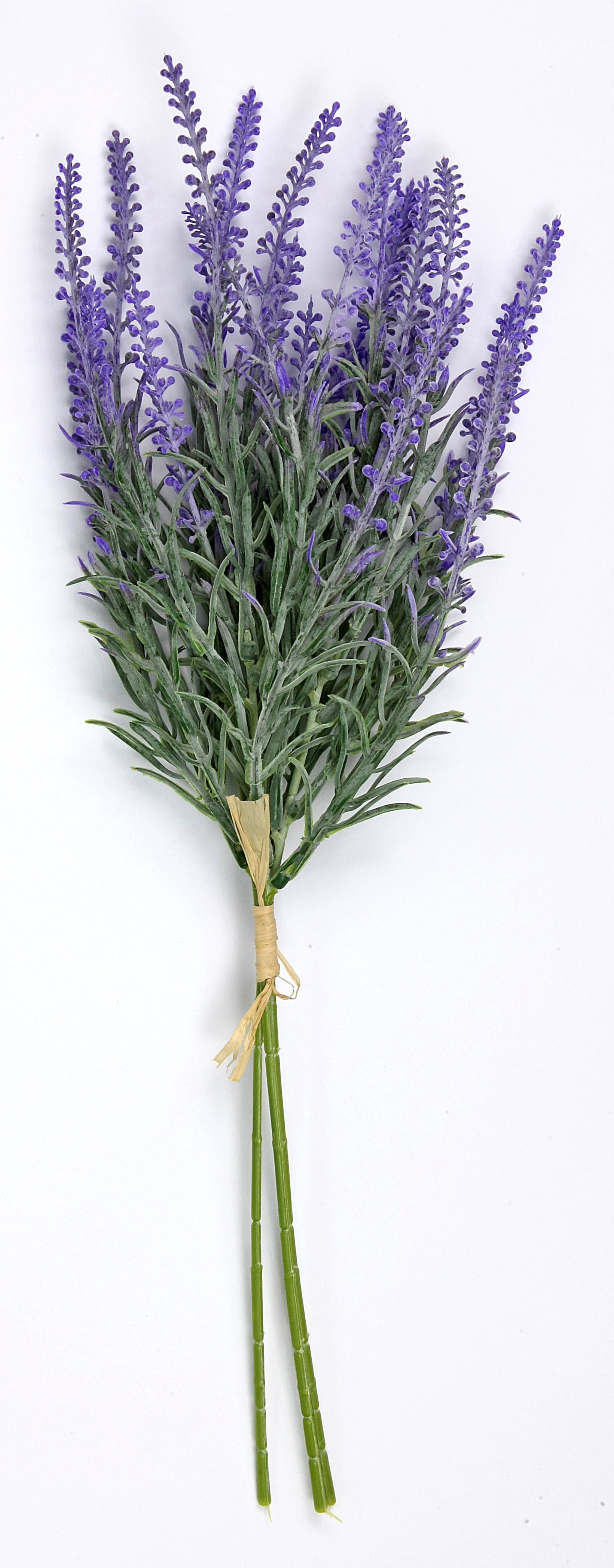 immagine-1-linea-due-elle-lavanda-bush-40-cm-viola-ean-8033551034783