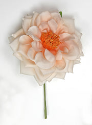 Linea Due Elle Rosa Spray D 11 cm avec tige orange 6 pièces