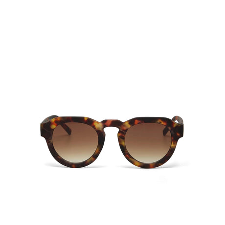 okkia okkia occhiale da sole premontato mod zeno classic havana ean 8055773197213