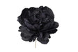 immagine-1-pick-peonia-singola-nero-ean-8018318740435