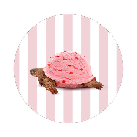 wd lifestyle wd lifestyle sottopentola in ceramica d 18 cm decoro tartaruga ean 8055035683621