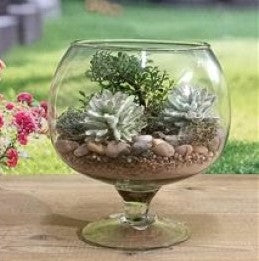 due esse distribuzioni due esse distribuzioni vaso napoleone h 19 cm d 16 cm vetro natural scatola regalo ean 8034048647912