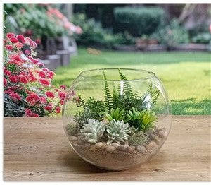 due esse distribuzioni due esse distribuzioni vaso palla vetro d 25 cm h 19 cm natural scatola regalo ean 8034048144350