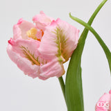 edg enzo de gasperi edg enzo de gasperi bouquete tulipano parrot x3 h 40 cm con bocciolo rosa crema ean 8059824612687