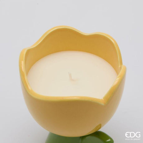 edg enzo de gasperi edg enzo de gasperi candela tulip con profumo h 11 cm d 10 cm amber ean 8059824621757