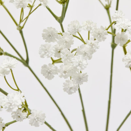 edg enzo de gasperi edg enzo de gasperi gypsophila cespuglio x5 pianta artificiale h 40 cm bianco ean 8059824441966