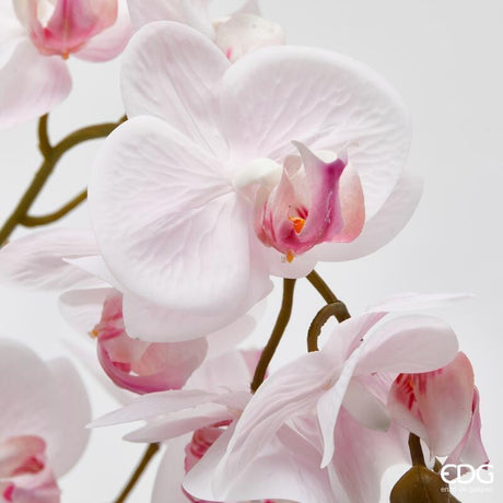 edg enzo de gasperi edg enzo de gasperi orchidea phalaenopsis x2 con foglie e vaso h 51 cm pianta artificiale rosa chiaro ean 8059824513755
