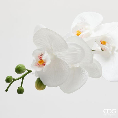edg enzo de gasperi edg enzo de gasperi orchidea phalaenopsis x5 con foglie e vaso h 62 cm pianta artificiale bianco ean 8059824513779