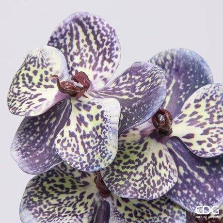 edg enzo de gasperi edg enzo de gasperi orchidea vanda ramo h 65 cm pianta artificiale mix viola ean 8059824615480
