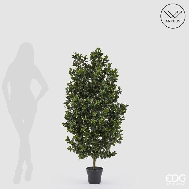 edg enzo de gasperi edg enzo de gasperi pianta artificiale agrifoglio h 157 cm con vaso anti uv verde per interno ed esterno ean 8059824655356