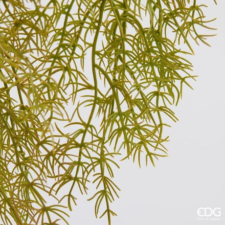 edg enzo de gasperi edg enzo de gasperi pianta artificiale erba palustre cadente h 106 cm olive pianta decorativa realistica design moderno ean 8059824667922