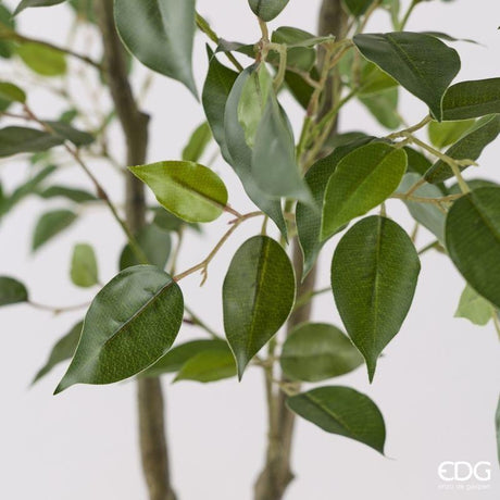 edg enzo de gasperi edg enzo de gasperi pianta artificiale ficus vogue con vaso h 150 cm pianta decorativa realistica design moderno ean 8059824655240