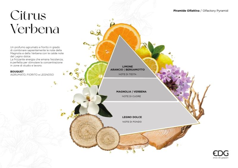 edg enzo de gasperi edg enzo de gasperi profumatore bottiglia heritage 300 ml h 17 cm citrus verbena ean 8059824525611