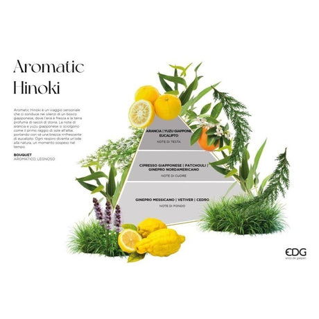 edg enzo de gasperi edg enzo de gasperi profumatore bottiglia opal 220 ml h 14 cm aromatic hinoki ean 8059824627162