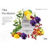 edg enzo de gasperi edg enzo de gasperi profumatore bottiglia opal 220 ml h 14 cm mint eucalyptus ean 8059824627209